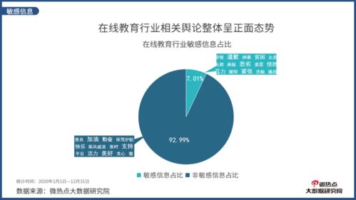 2020年度在線教育行業(yè)網(wǎng)絡(luò)關(guān)注度分析報(bào)告 網(wǎng)絡(luò)服務(wù)成核心驅(qū)動(dòng)力
